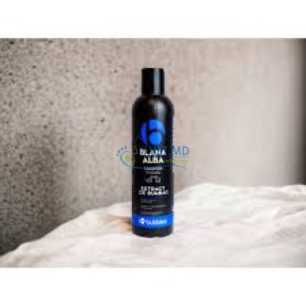 BUBBLES SAMPON BLANA ALBA